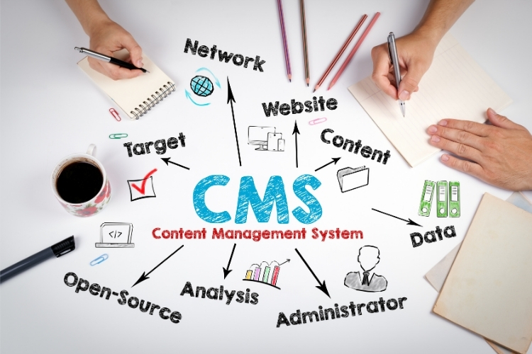 CMS Development